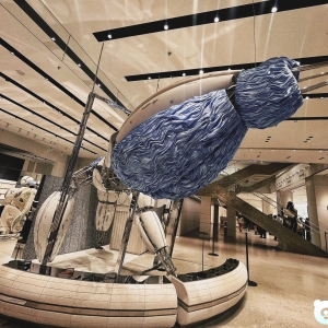 来看巨人凑凑热闹