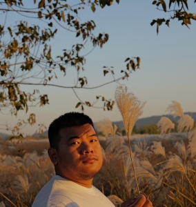 秋天的芦苇是温暖的橙