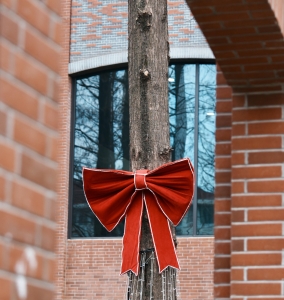 扫一次街吧。📷